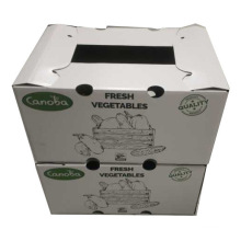 Corrugated Paper Printing Fruit Packaging Box